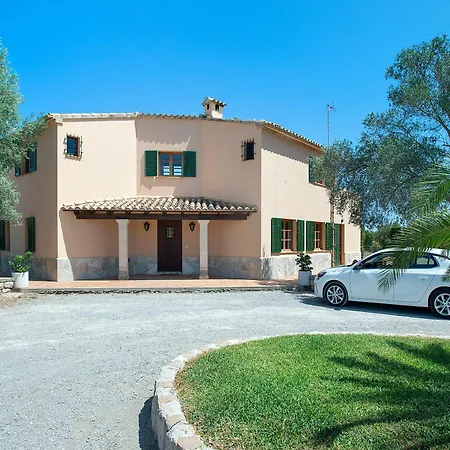 Owl Tia - Exclusive Holidays * Port de Pollenca