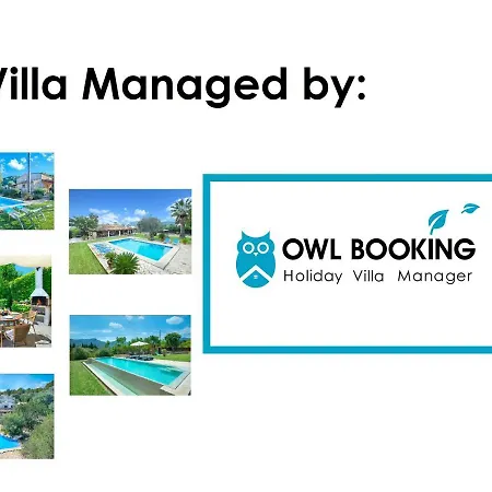Owl Tia - Exclusive Holidays Port de Pollenca